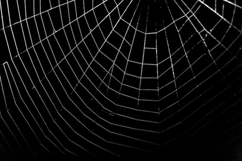 La differenza tra deep web e dark web