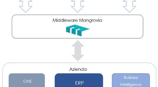 La blockchain secondo Massimo Ferronato, CTO di Mangrovia Blockchain Solutions